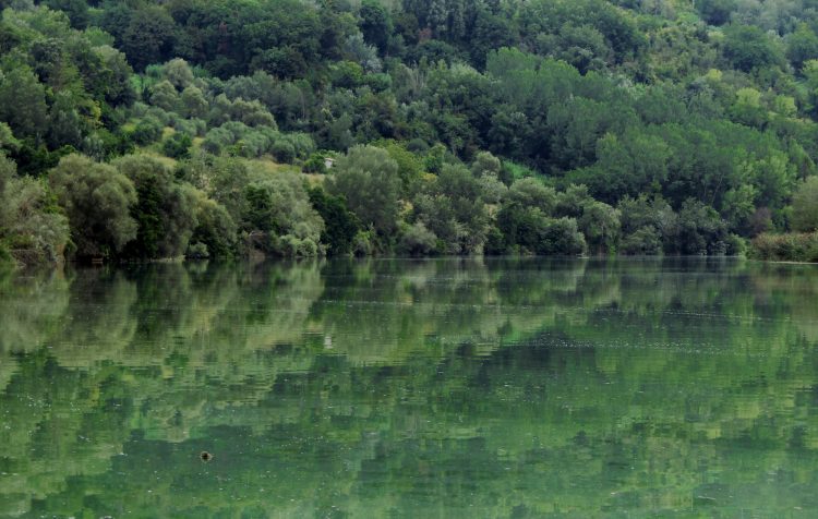 River Tiber at the Tevere Farfa Nature Reserve